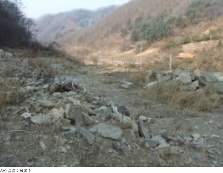 사진 10