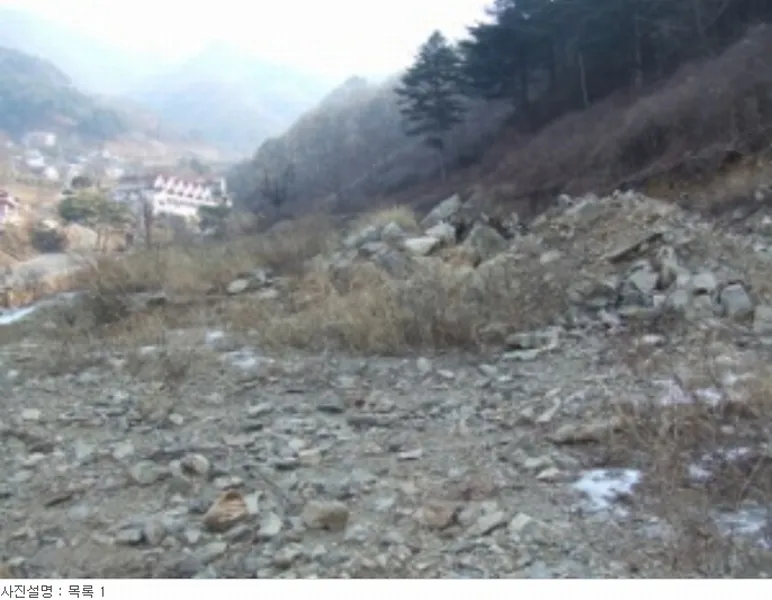 사진 11