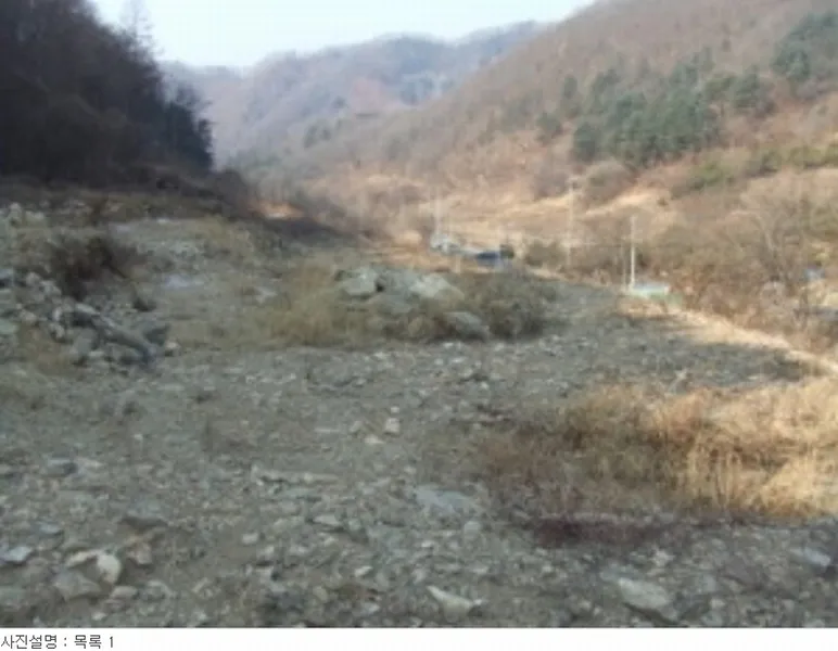사진 13