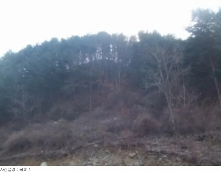 사진 17