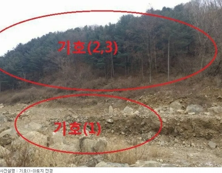 사진 3