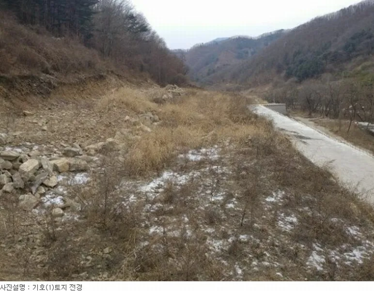사진 4