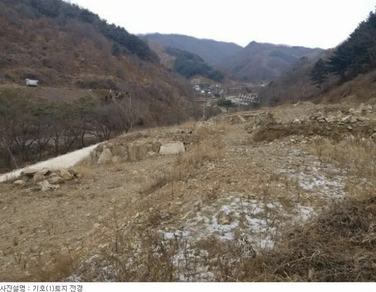 사진 5