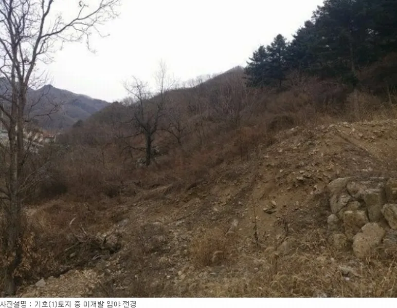 사진 6