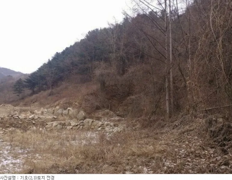 사진 8