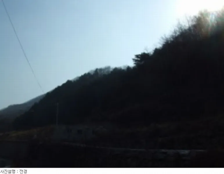 사진 9