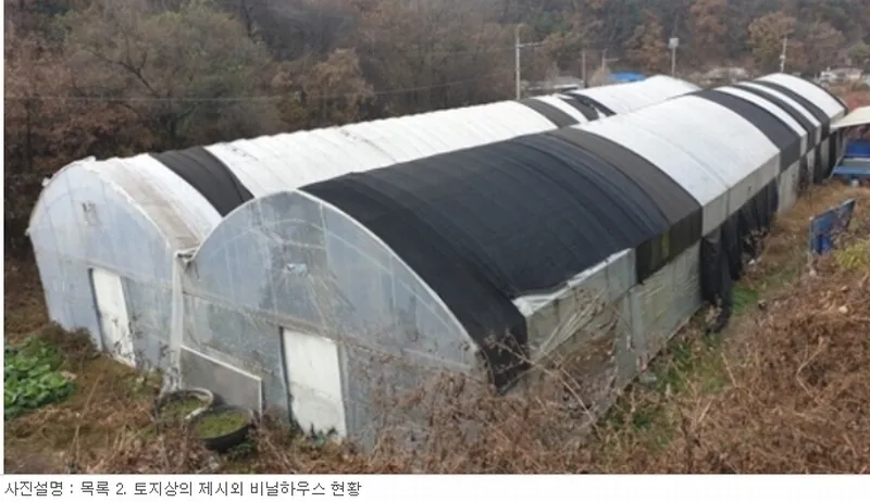 사진 10
