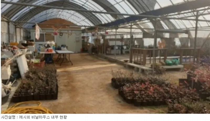 사진 11