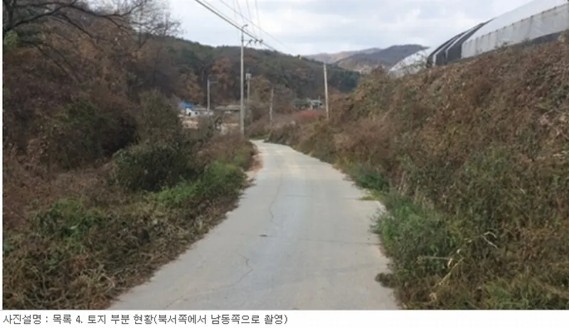 사진 12