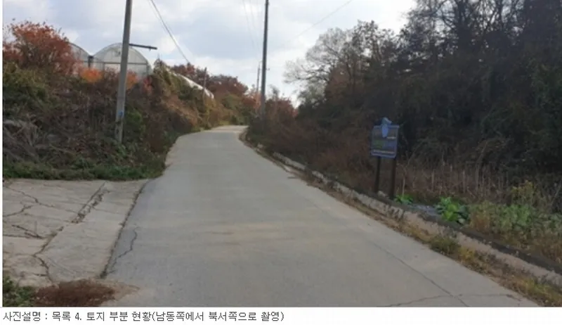 사진 13