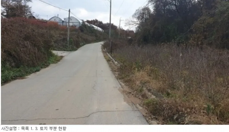 사진 6