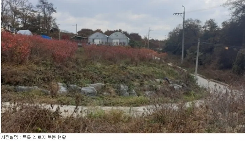 사진 7
