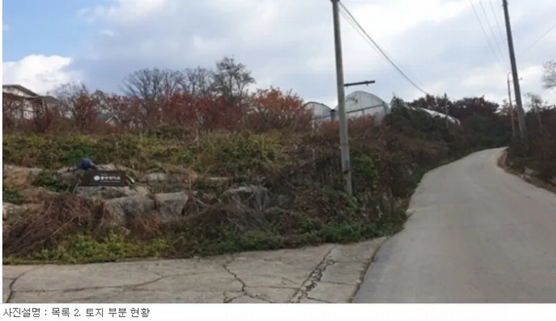 사진 8