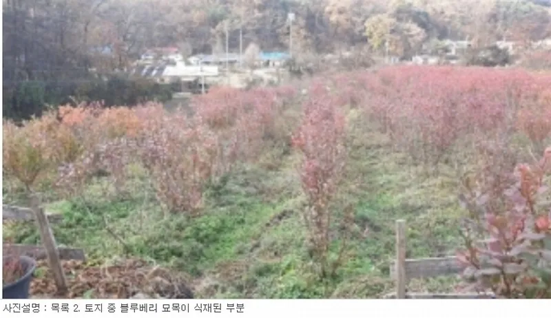 사진 9