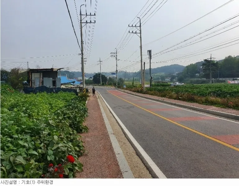 사진 10