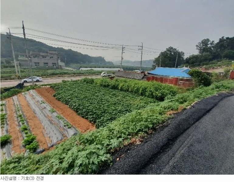 사진 5