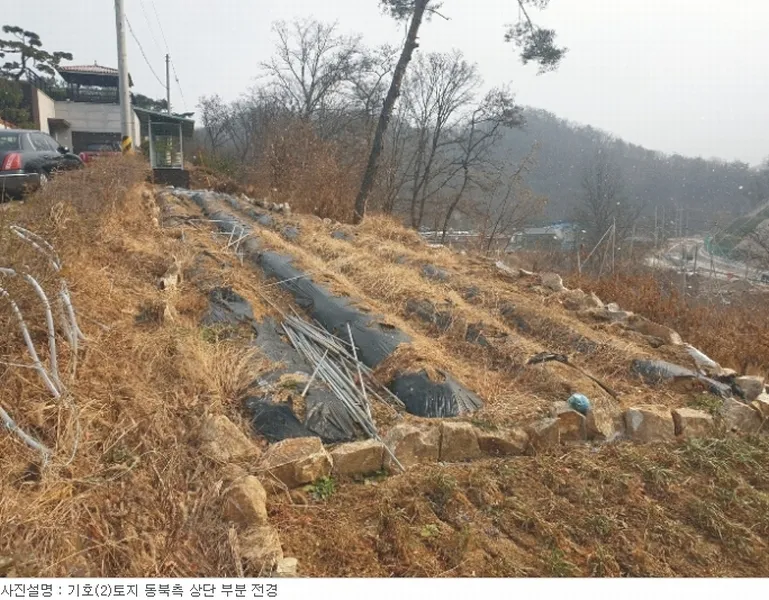 사진 10
