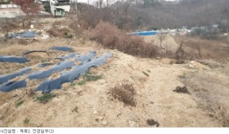 사진 15
