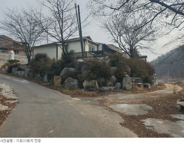 사진 2