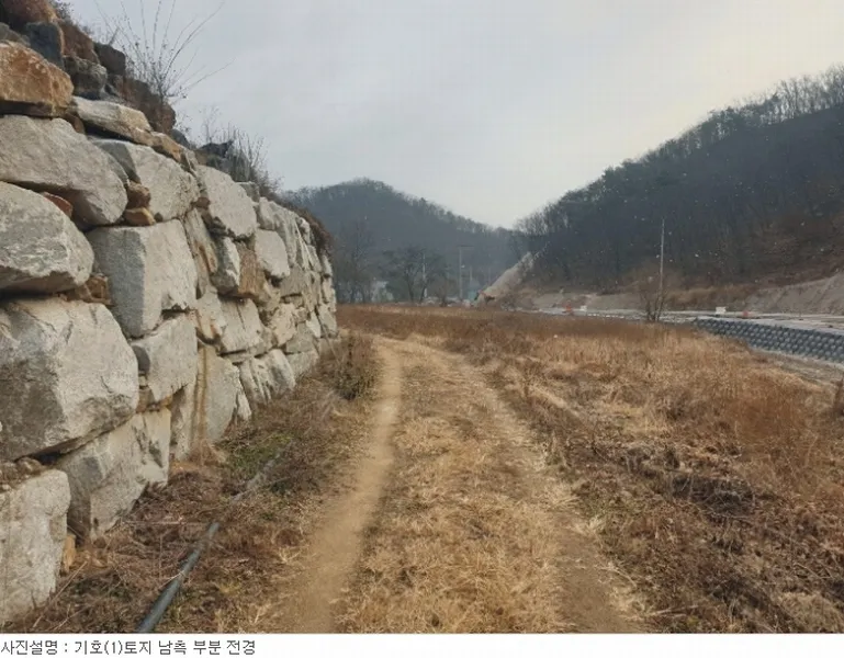 사진 3