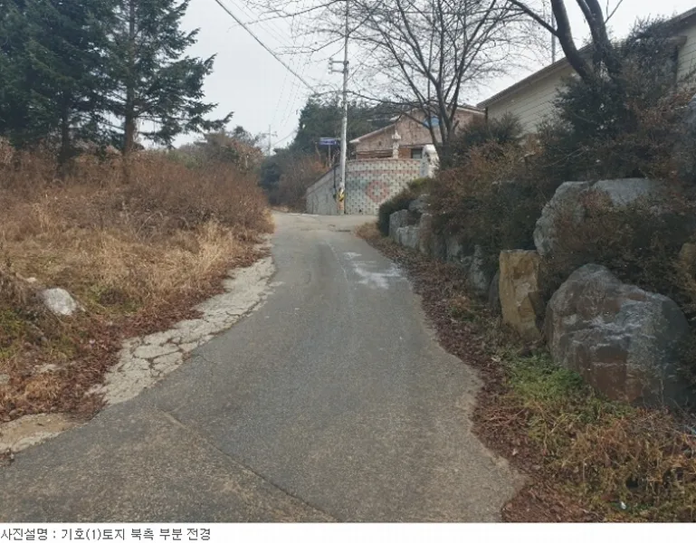 사진 6