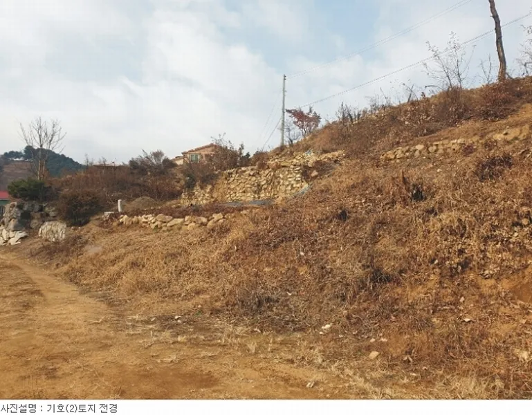 사진 8