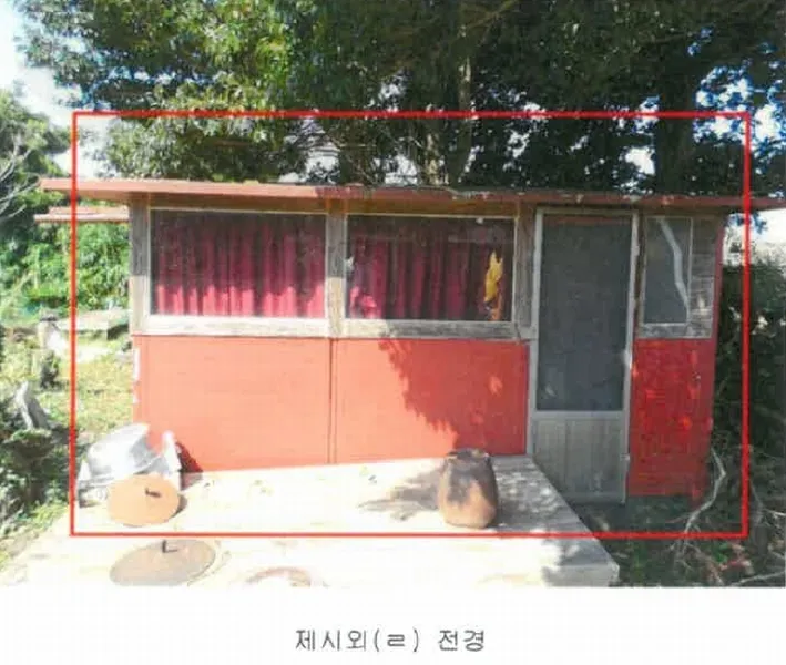 사진 11