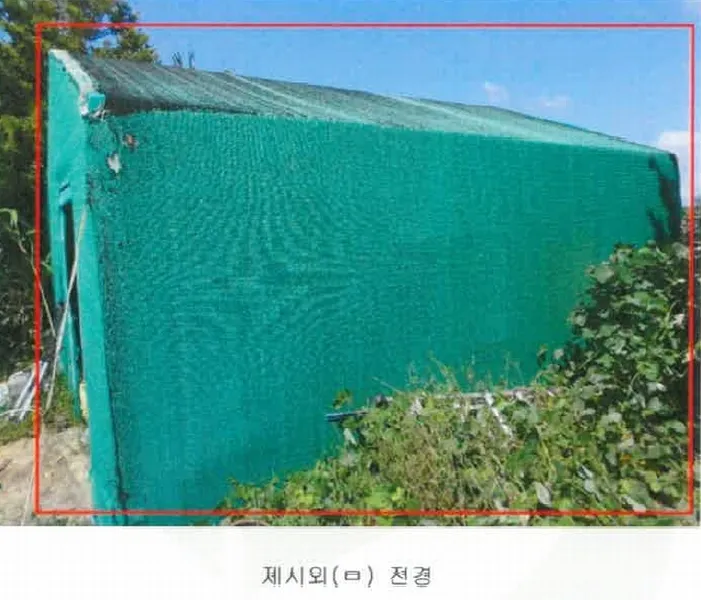 사진 12