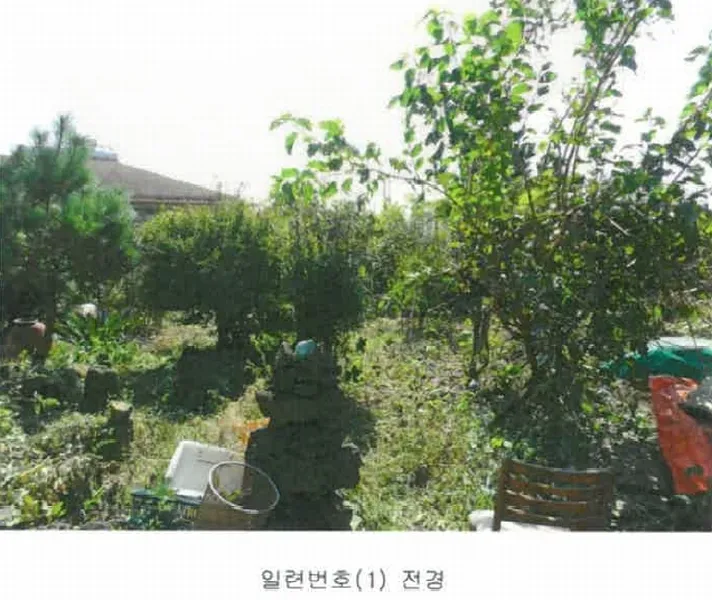 사진 2