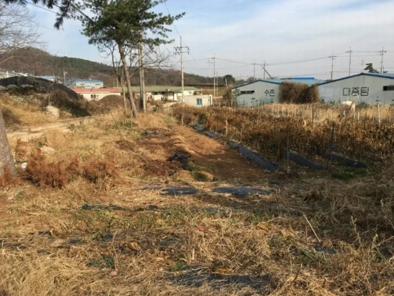 경기도 화성시 장안면 수촌리 1130-8