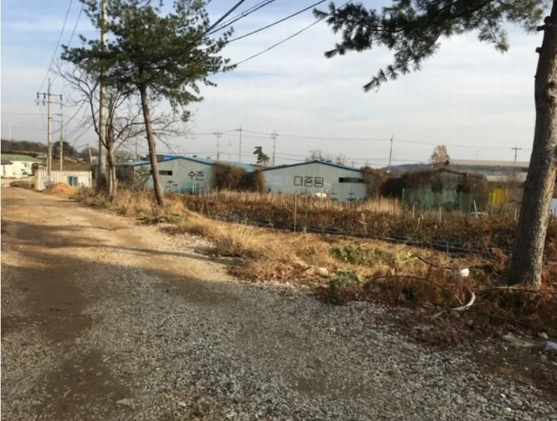 사진 2