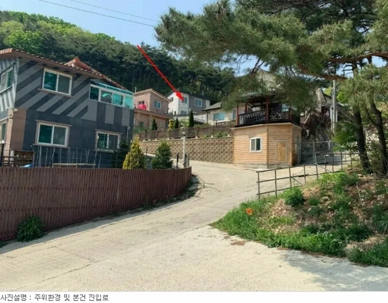 사진 10