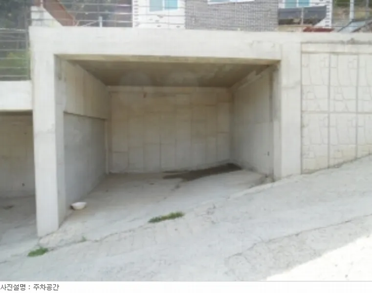 사진 13