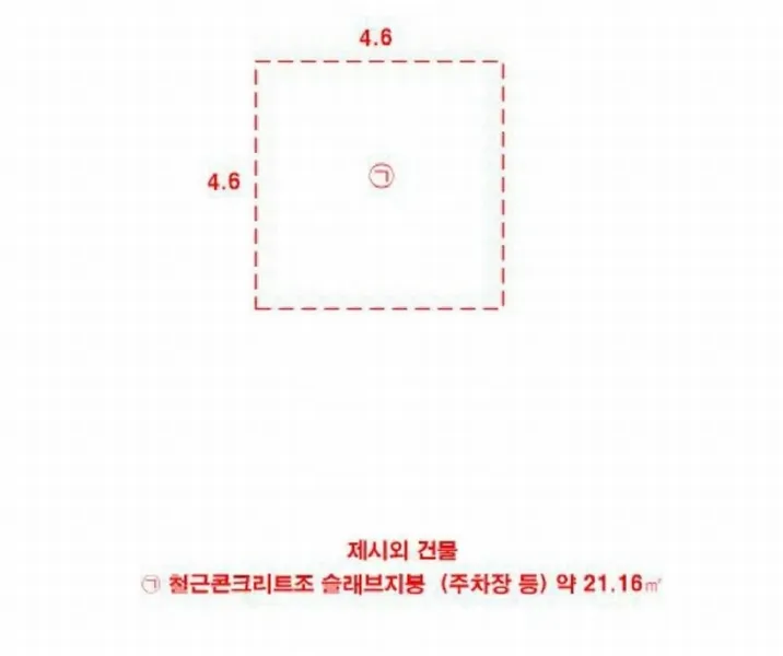 사진 19