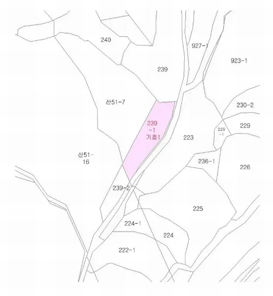 사진 10