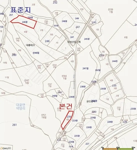 사진 9
