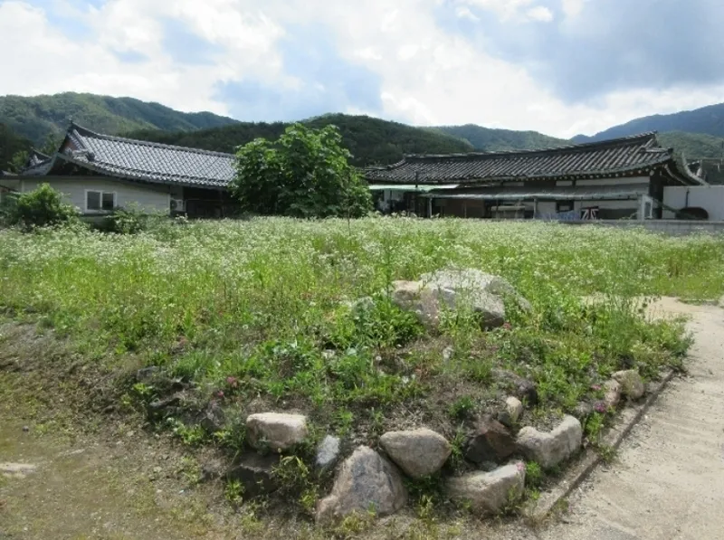사진 2