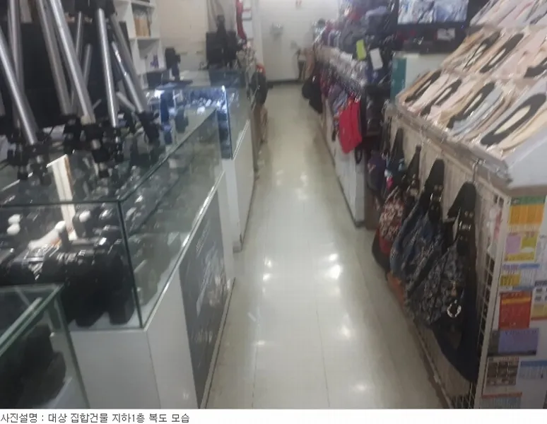 사진 5