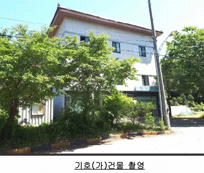 경기도 안성시 금광면 금광리 491-3