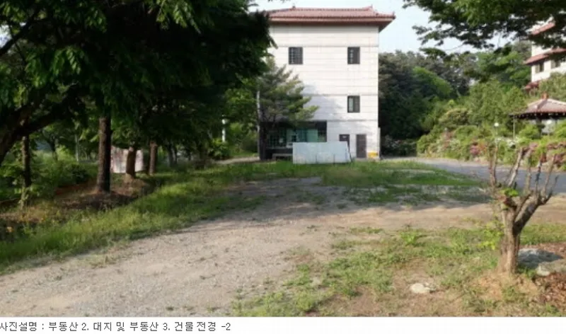 사진 3