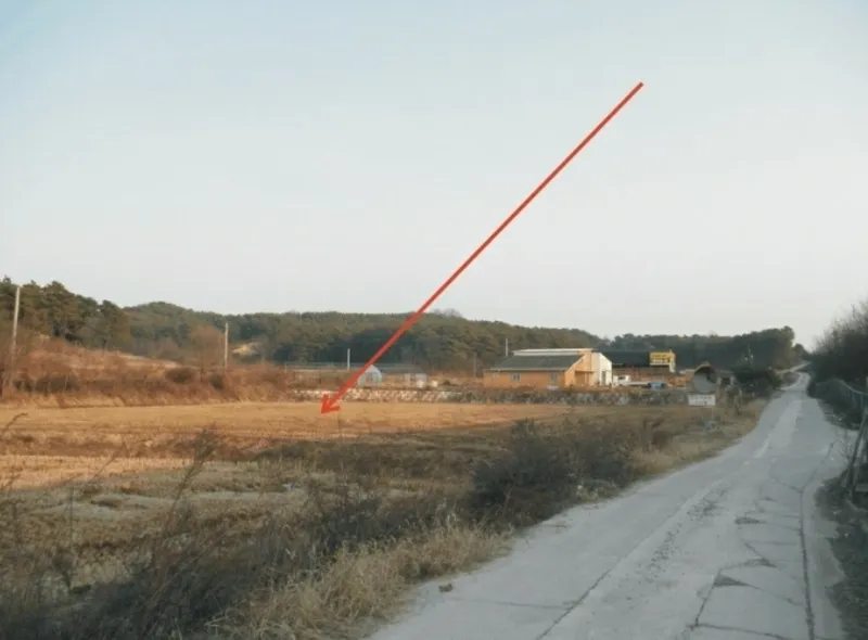 사진 2