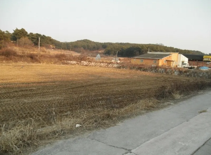 사진 3