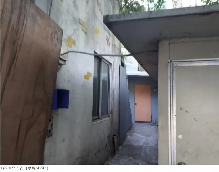 사진 3