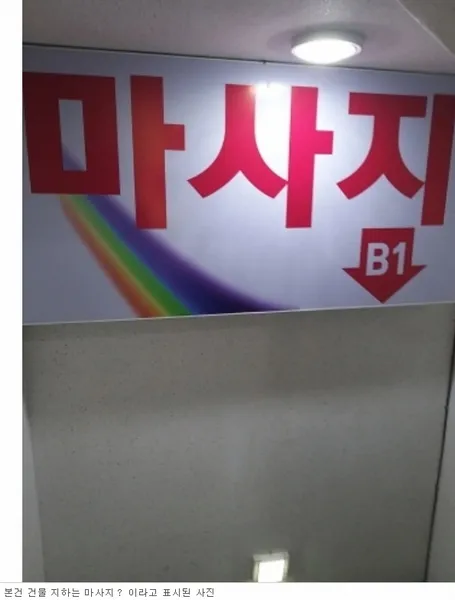 사진 6