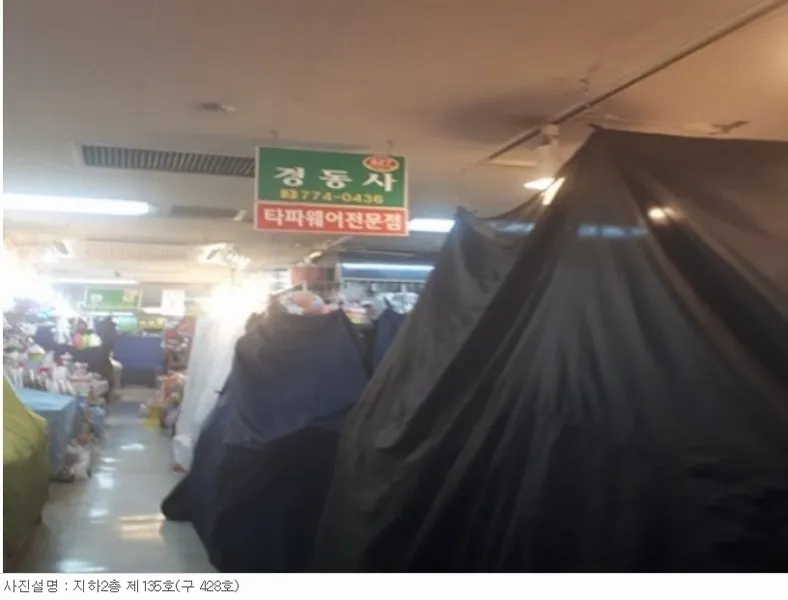 사진 6