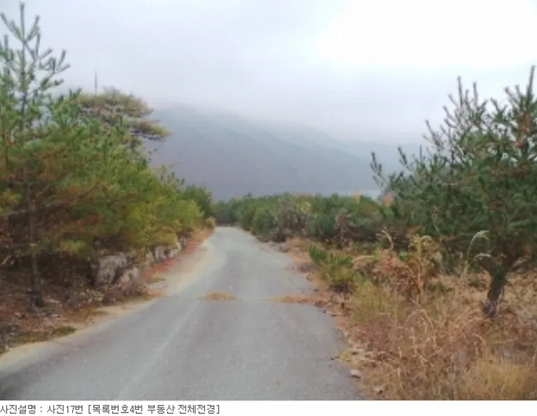 사진 23