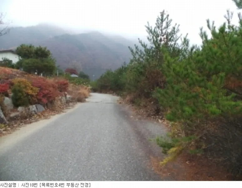 사진 24