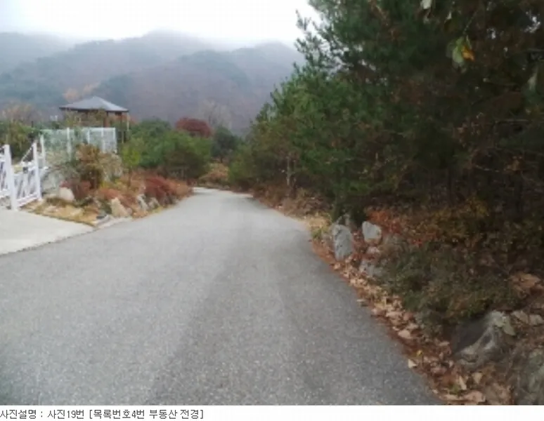 사진 25