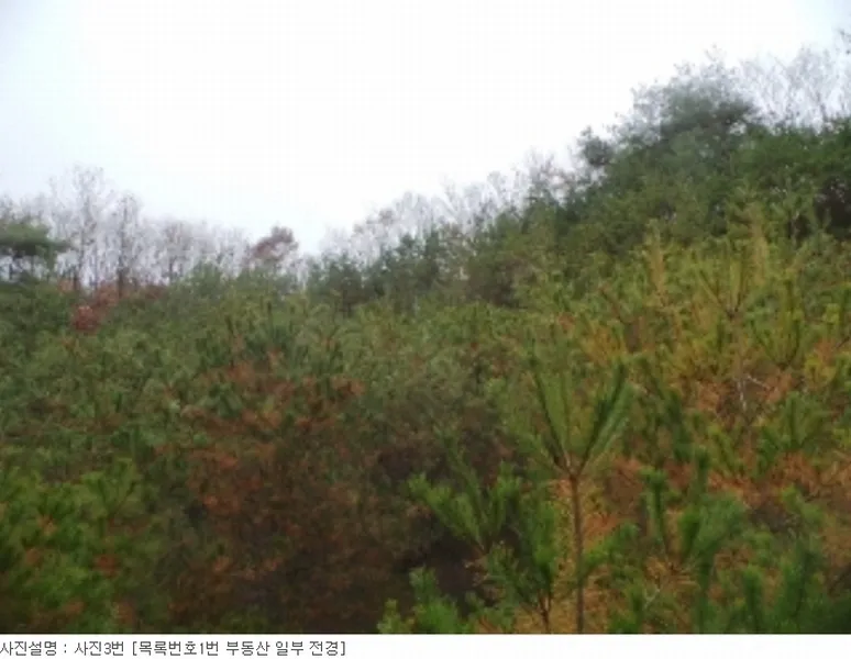 사진 9