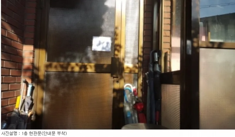 사진 13